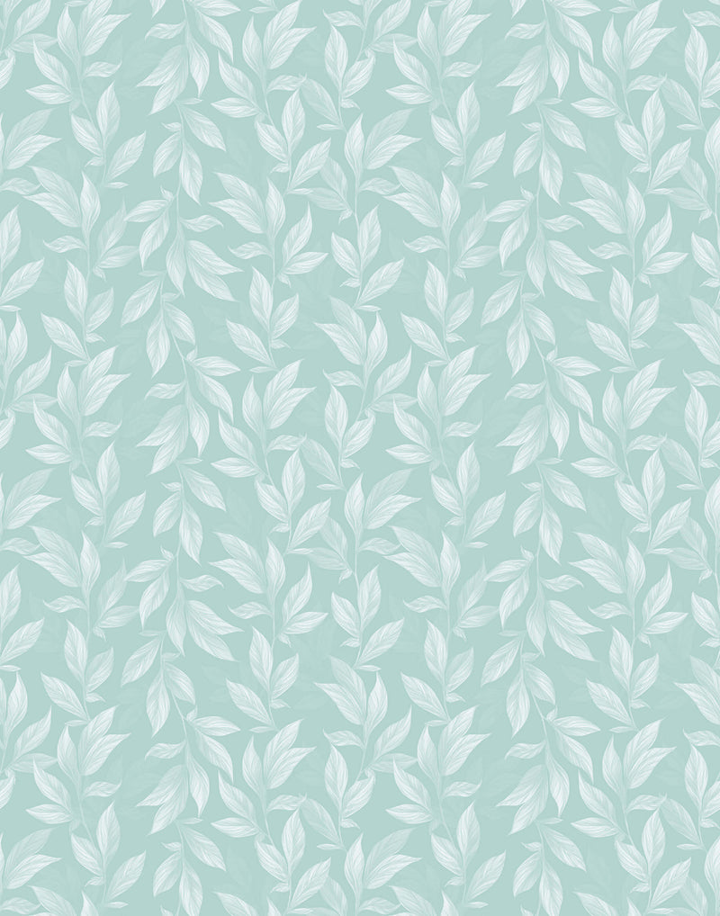 Vine