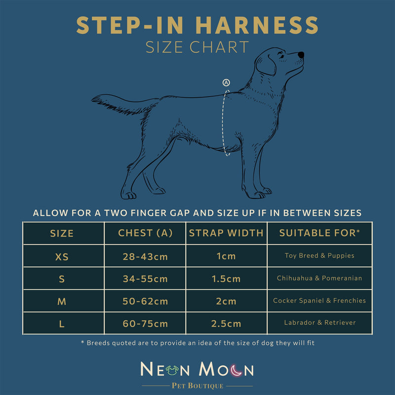 The Tod Step-In Harness