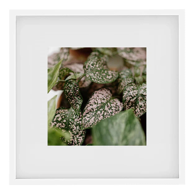 Kenro Strata Photo Frame 16x16 with 10x10 Mat - White