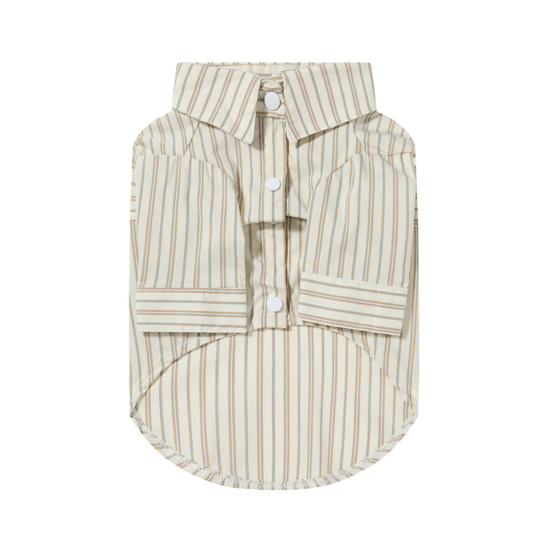 Striped Shirt