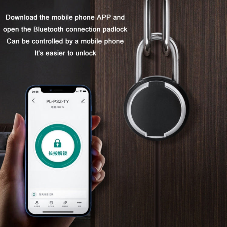 Outdoor Waterproof Electronic Intelligent Fingerprint Padlock, P3Z-TY
