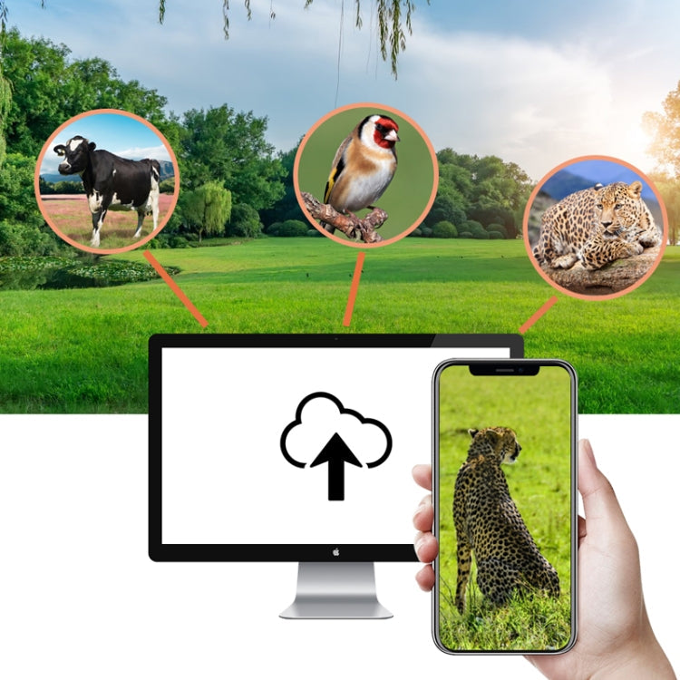 4K 4G Outdoor Track Camera Remote Mobile Phone Control To View Photos / Video At Any Time, HC-940Pro-Li