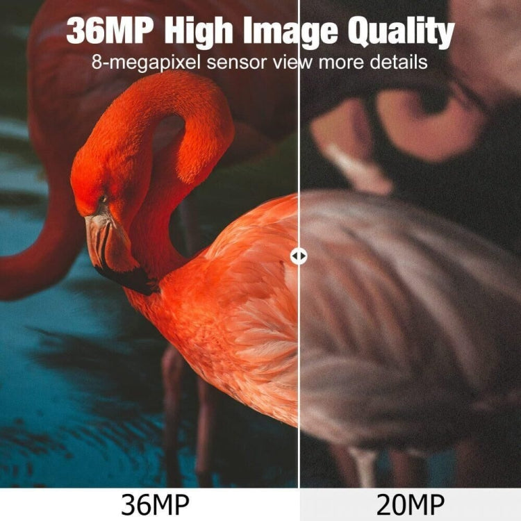 4K 4G Outdoor Track Camera Remote Mobile Phone Control To View Photos / Video At Any Time, HC-940Pro-Li