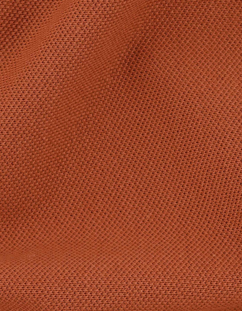 Rust Regular Fit Cotton Polo Shirt