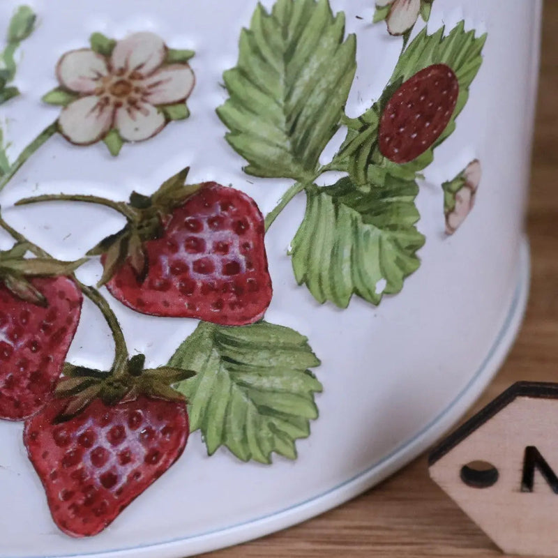 Thaniya Strawberry Field Milk Churn Planter