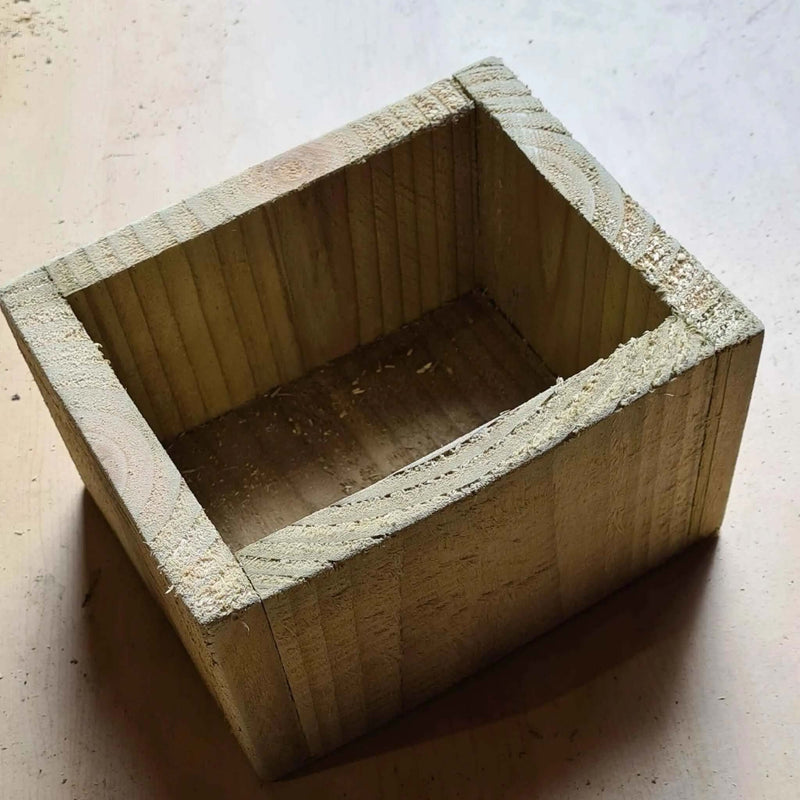 Table display planter