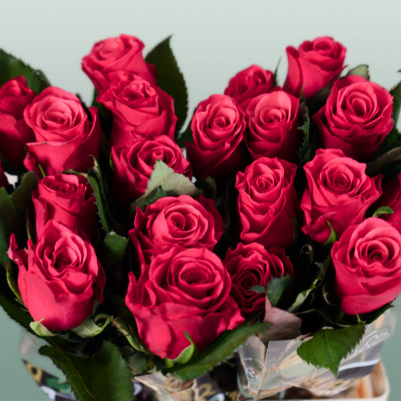 Rose Tacazzi