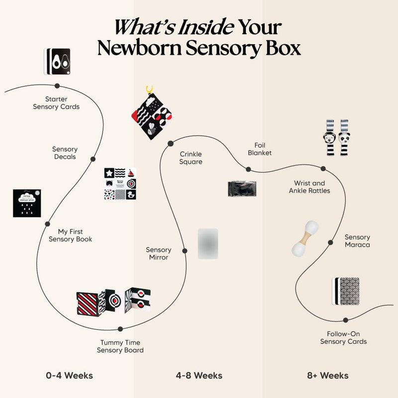 The Newborn Sensory Box (0-6+ Months)