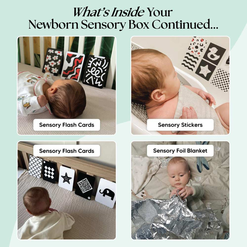 The Newborn Sensory Box (0-6+ Months)