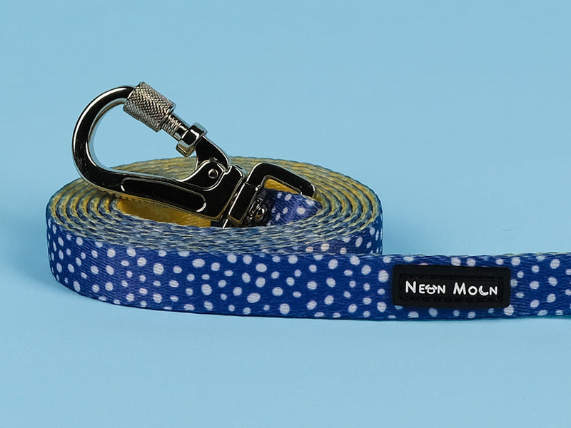 The Minnie Lead