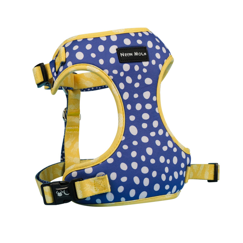 The Minnie Mesh Harness