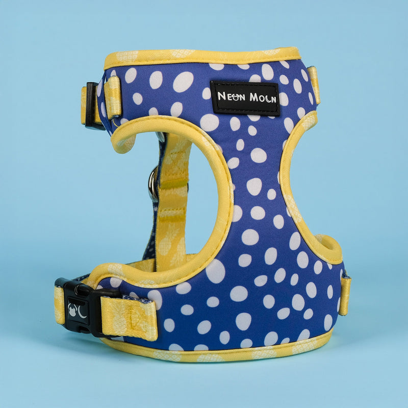 The Minnie Mesh Harness