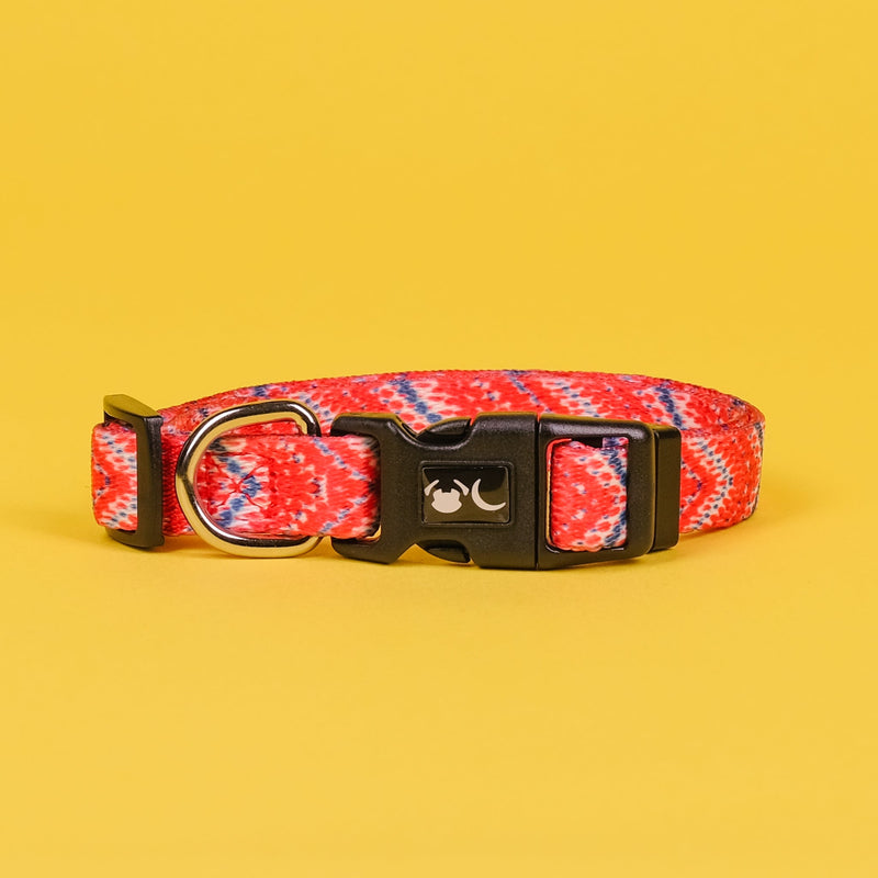 The Tod Dog Collar