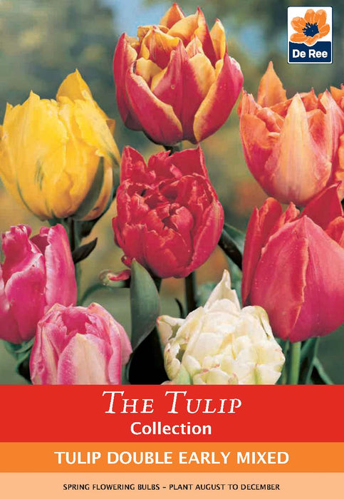 Tulip Double Early Mixed (6 Bulbs)