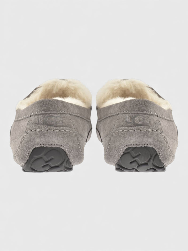 UGG Ascot Slippers Grey