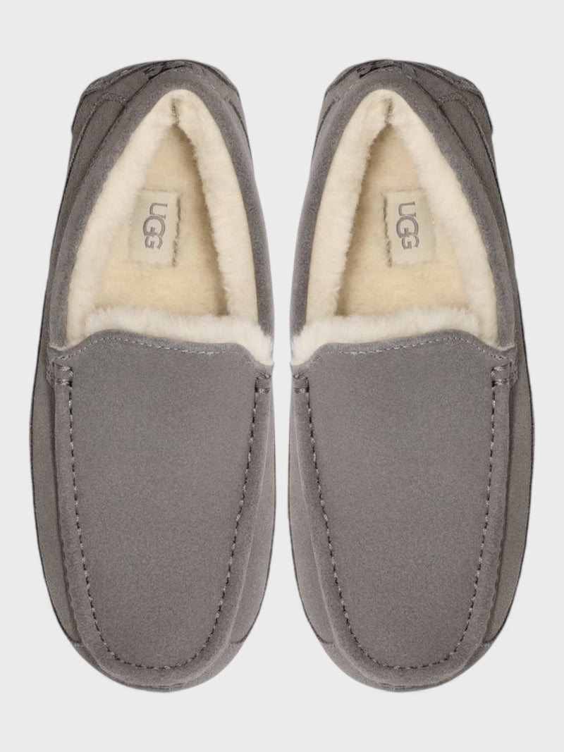 UGG Ascot Slippers Grey