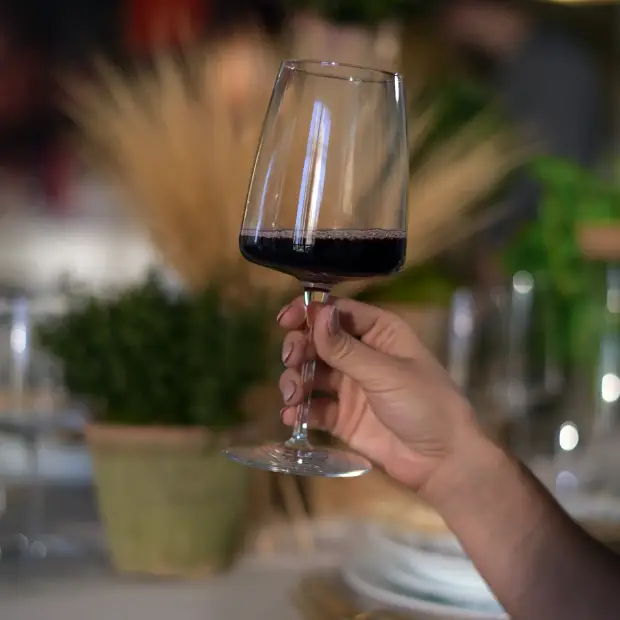 Bormioli Rocco Planeo Gran Rosso Wine Glasses - 555ml - Set of 4