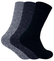 V035885960_0.jpg