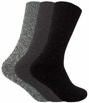 V035885961_0.jpg