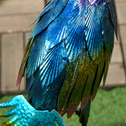 V0671440101_18.jpg