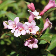 V0671632845_0.jpg
