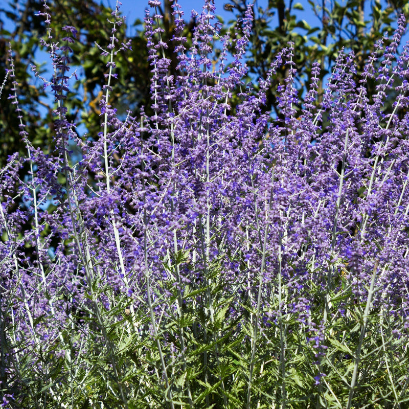 3c01e13f-d789-4dcc-8719-b36c343dd36c.png