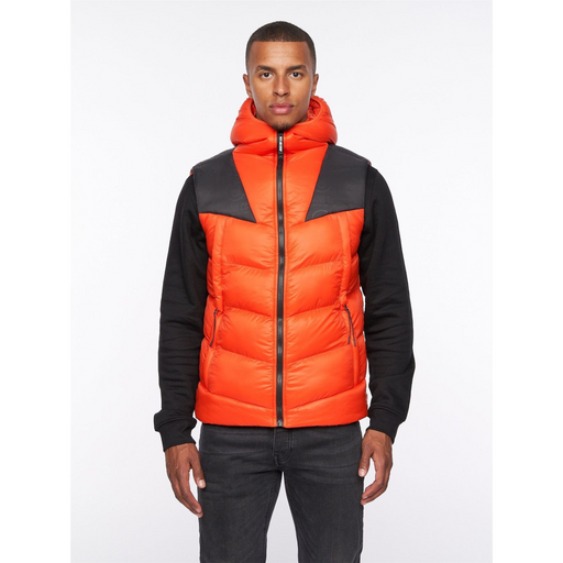 main.png