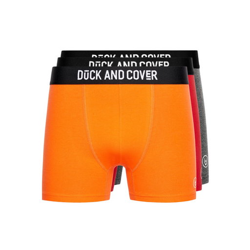 main.png