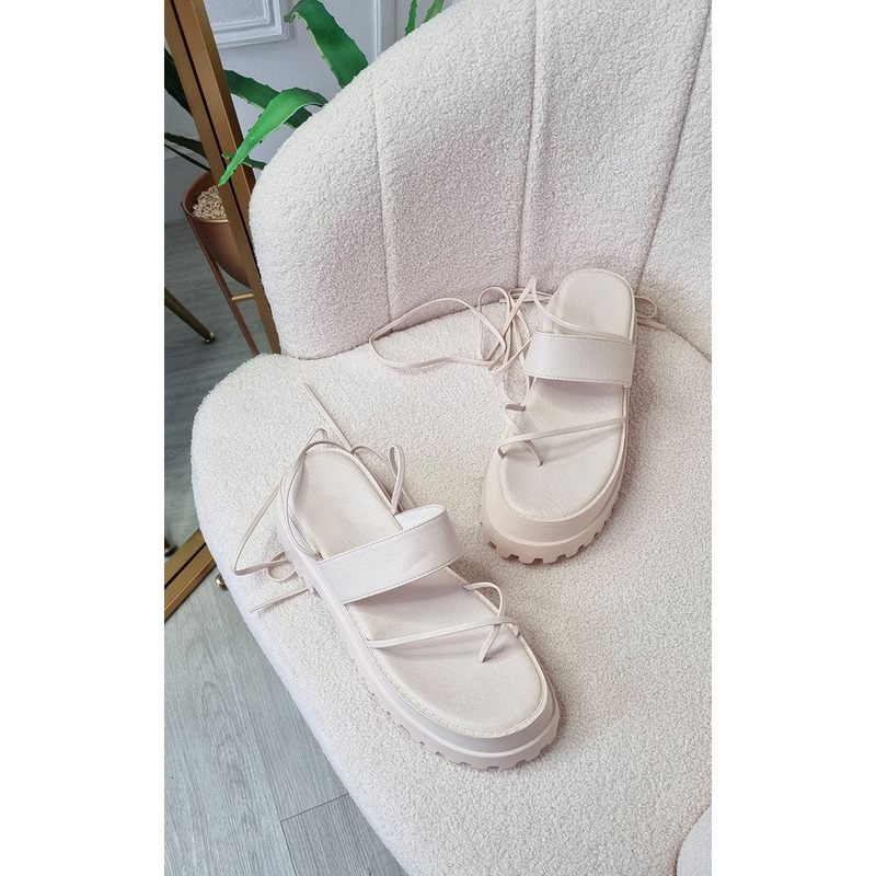 main.png
