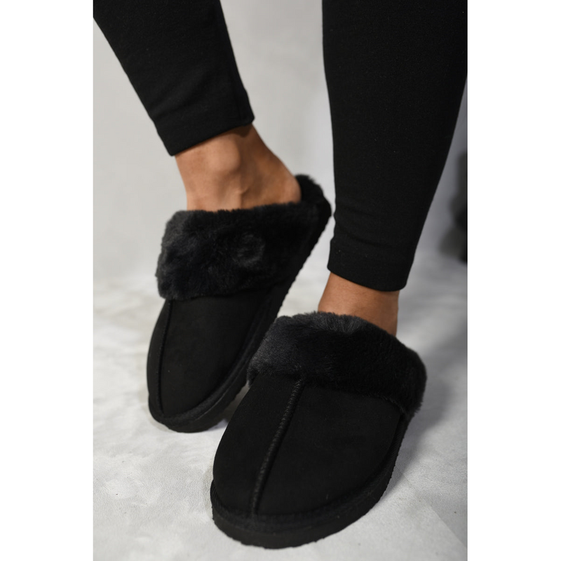 main.png