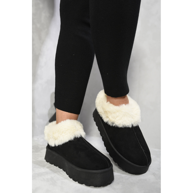 main.png