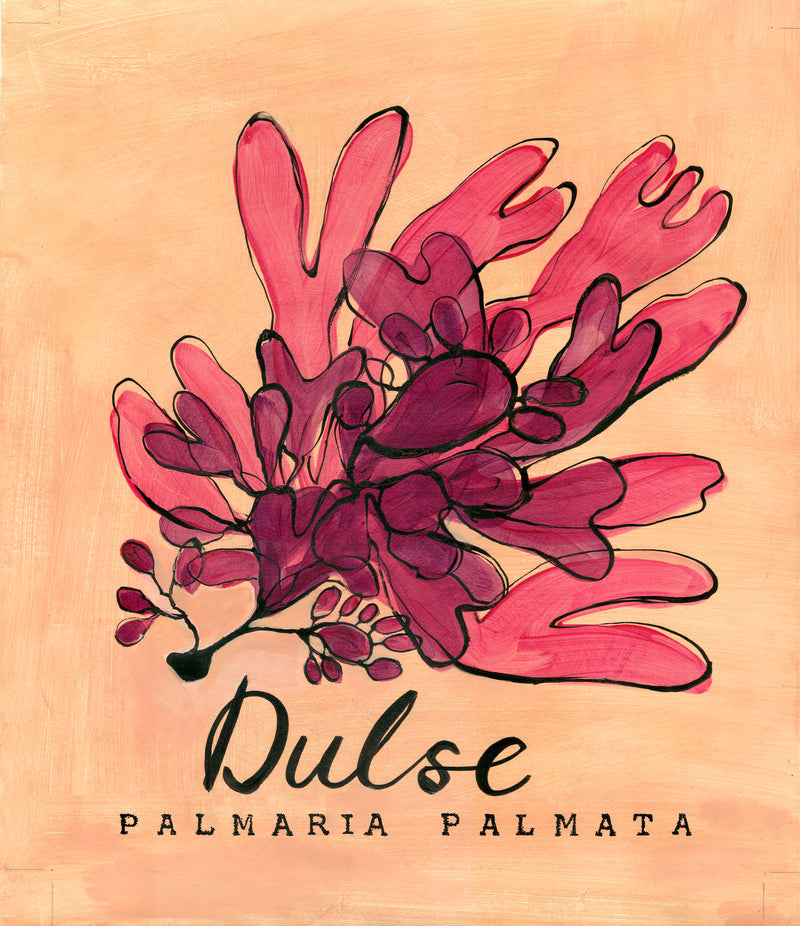 Dulse Seaweed  - Cornish Sea Life Series - Giclée Print