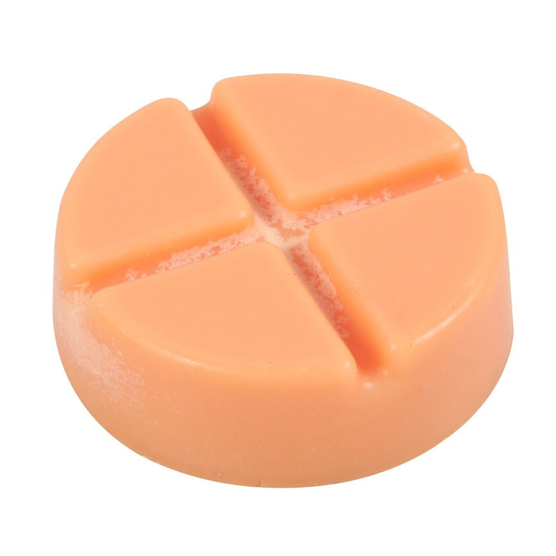 Gothic Gifts Pumpkin Spiced Soy Wax Snap Disc