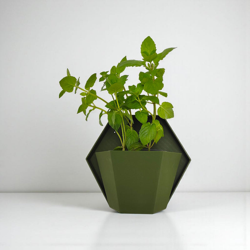 Geometric Wall Planter for Herbs | Modern Wall Mounted Planter