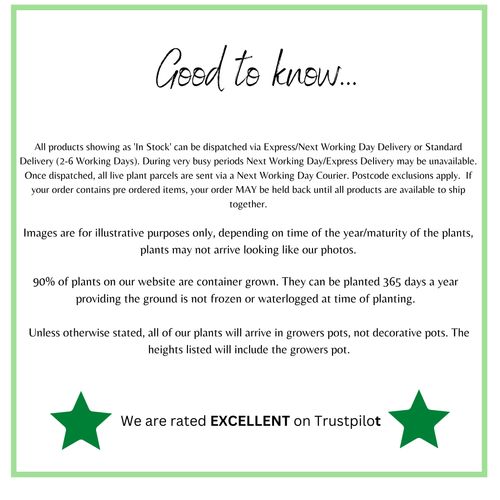WeareratedEXCELLENTonTrustpilot_4_becb5bdc-a796-4e56-b714-d85db0c1545f.png
