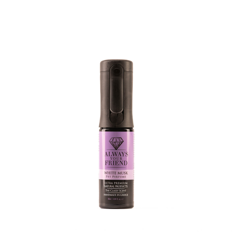 Always Your Friend White Musk – Long-Lasting Perfume Spray (90ml)