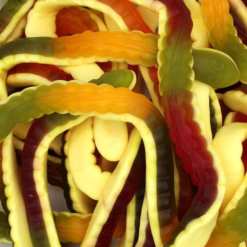 Yellow Snakes
