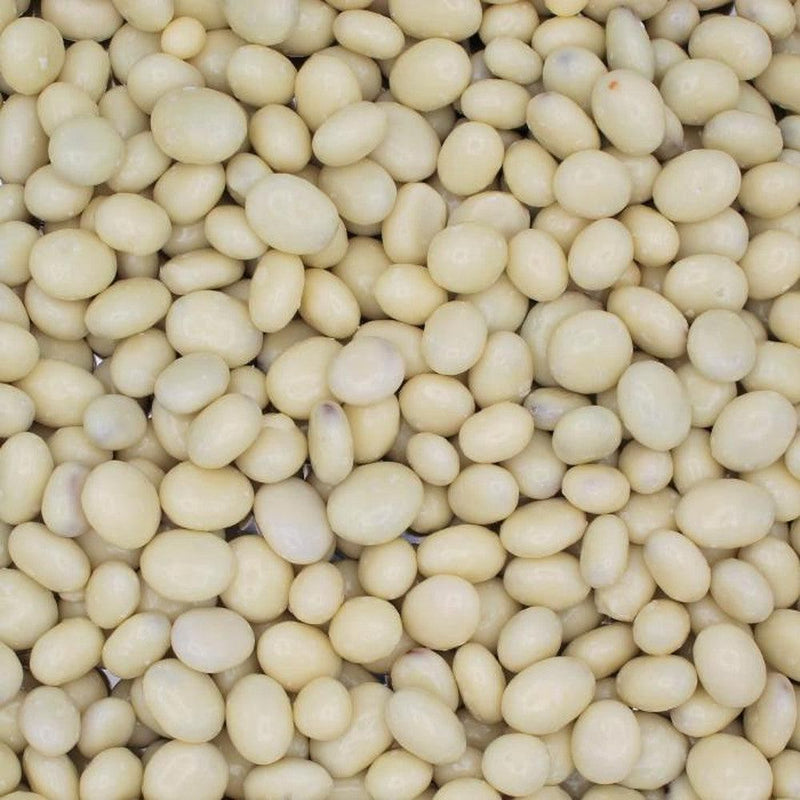 Yogurt Raisins