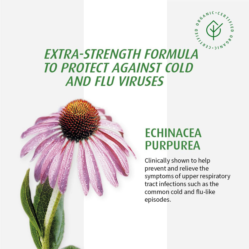 A.Vogel Echinaforce Extra Strength Echinacea Tablets 30 Ct – Immune Support