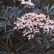 a8834039-c6aa-4260-ac91-e5377b57421f.png