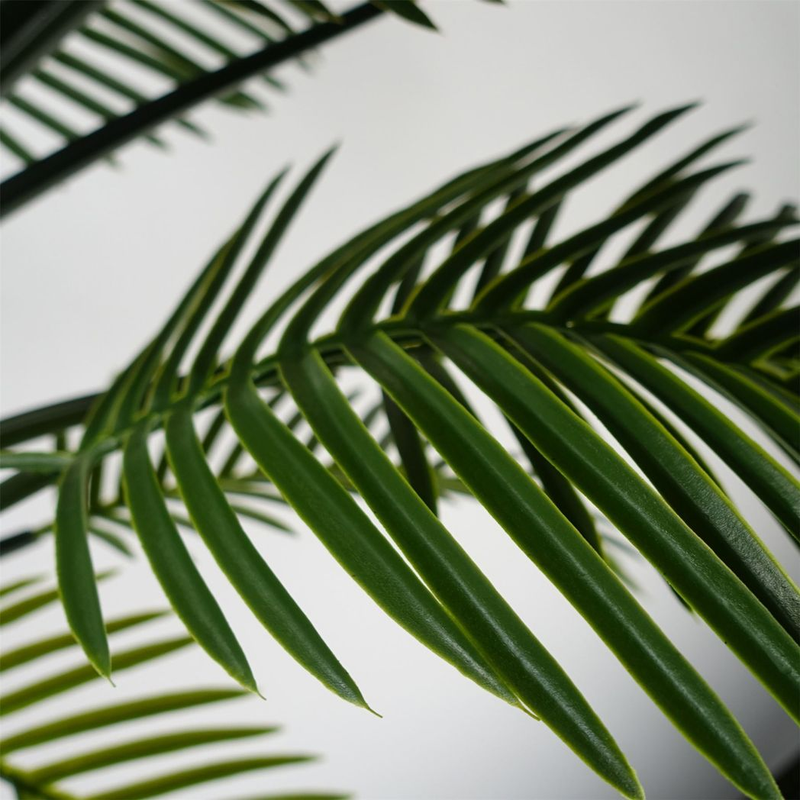 125cm UV Resistant Raphis Palm Tree with Natural Trunk