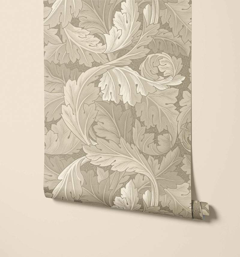 Acanthus