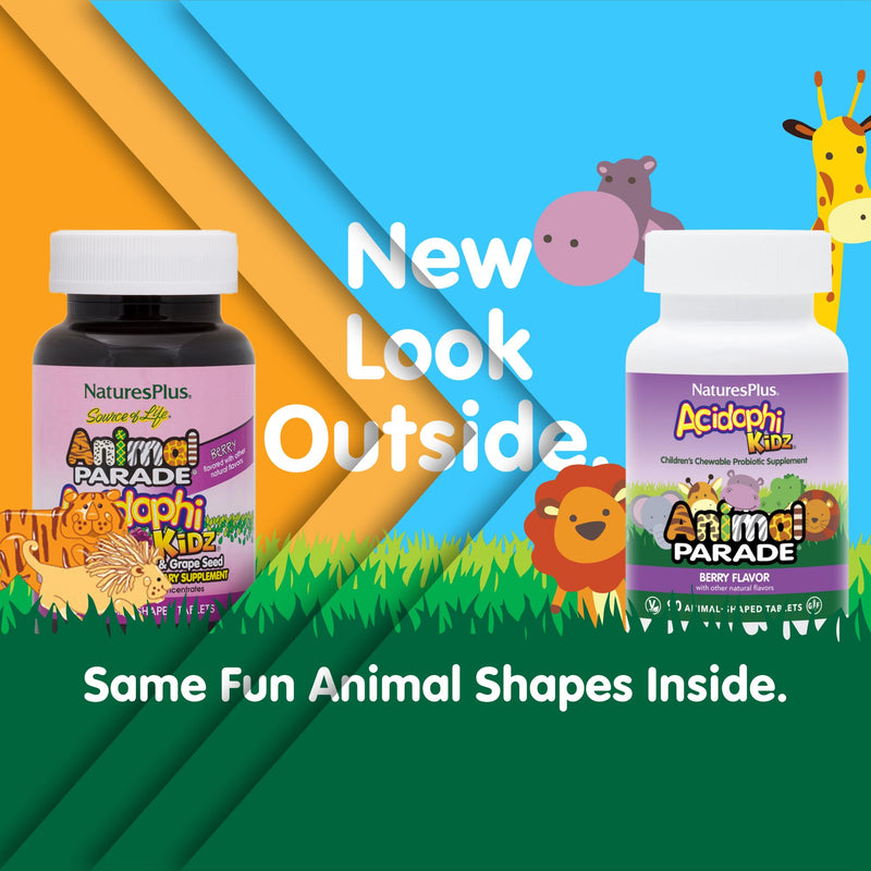 NaturesPlus Animal Parade AcidophiKidz Berry Flavor 90 Chewables – 2-Pack with Probiotics, FOS & Grape Seed | 180 Total Servings