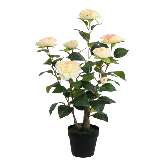58CM ARTIFICIAL CAMELLIA PLANT