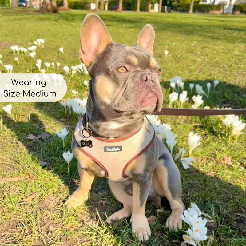 PupClub Dog Tweed Adjustable Harness - Brown