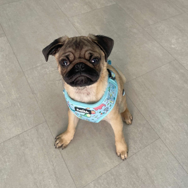 PupClub Dog Adjustable Harness - Jurassic Party