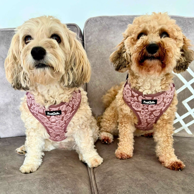PupClub Dog Luxe Adjustable Harness - Mocha Petals