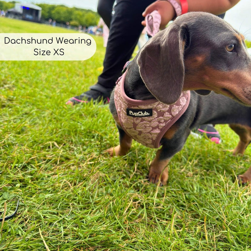PupClub Dog Luxe Adjustable Harness - Mocha Petals