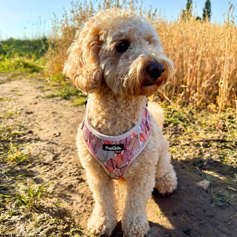 PupClub Dog Adjustable Harness - Autumn Breeze