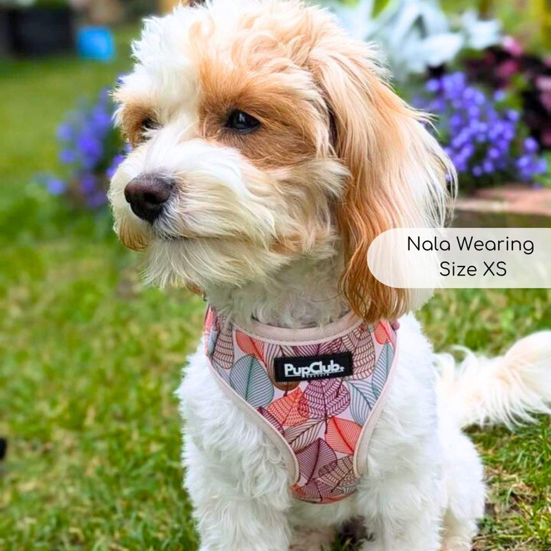 PupClub Dog Adjustable Harness - Autumn Breeze